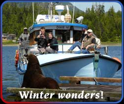 winter tours with sealions
