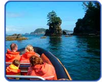 zodiac whale watching tour