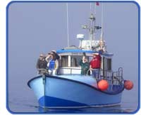 Cruise on the Dixie iV